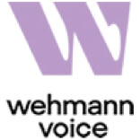 Matt Dratva Voice Actor Wehmann Voice Lgo